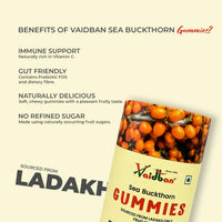 Vaidban Sea Buckthorn Gummies – 60 N | Sourced from Ladakh | No Artificial Sweetener thumbnail 3