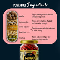 Vaidban X-Plus Gold DS Capsules – Double Strength Ayurvedic Formula for Stamina, Vitality & Men's Wellness thumbnail 3