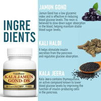 Vaidban Diabetes Control Kit - Ayurvedic Formula to Control Diabetes & Blood Sugar Levels thumbnail 4