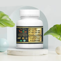 Vaidban LV-Amrit Goli ( 60 Goli ) - Herbal Liver Support thumbnail 3