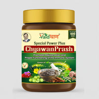 Vaidban Special Power Plus Chyawanprash – Boost Immunity & Rejuvenate Energy Naturally thumbnail 1