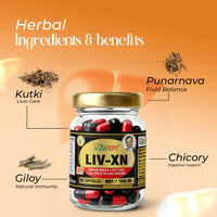 Vaidban LIV-XN Capsules - Reverses Fatty Liver, Supports Digestion & Promotes Liver Health (60 Capsules) thumbnail 2