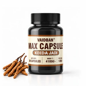 Lazab Keeda Jadi Max Capsule – Premium Ayurvedic Formula for Stamina, Vitality & Men's Wellness