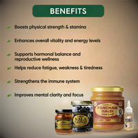 Vaidban Basic Joint Pain Relief Combo – Ayurvedic Pain Relief Treatment for Joint Pain, Knee Pain, Back & Shoulder Pain thumbnail 4