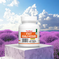Fat Gaj Kesri Capsules – Burn Belly Fat Naturally | Ayurvedic Weight Loss Support thumbnail 1