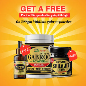 Vaidban Gabroo Powder