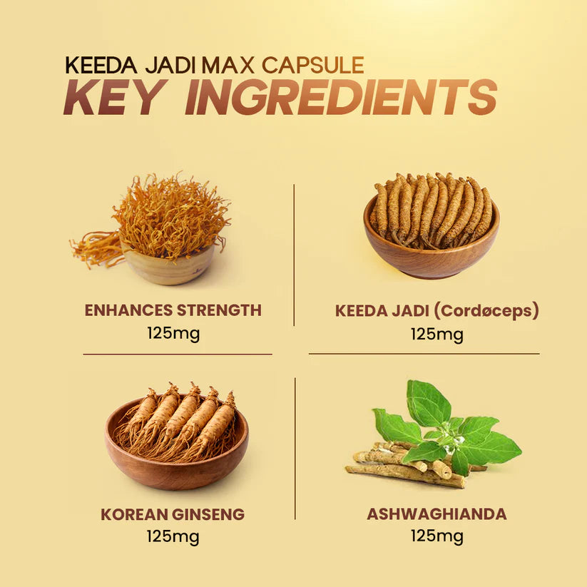 Lazab Keeda Jadi Max Capsule – Premium Ayurvedic Formula for Stamina, Vitality & Men's Wellness