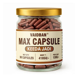 Lazab Keeda Jadi Max Capsule - Premium Men's Wellness Formula